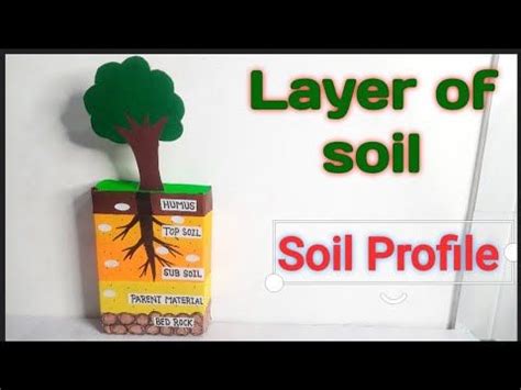 Model of layers of soil/Soil Profile/Model of composition of soil ...