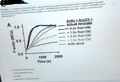 SOLVED Assay Performed With Pyrene Actin PolymerIzation Arp2 3 WHAMME