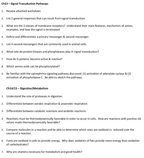 Signal Transduction Pathways Worksheet — excelguider.com