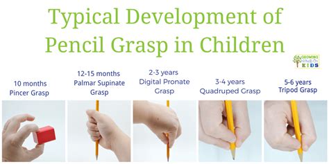 Typical Pencil Grasp Development for Writing | Pencil grasp, Preschool ...