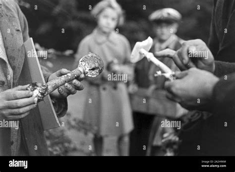 Pilzsammler Suchen Champignons Im Wald Fotograf As E Im Genes De Alta