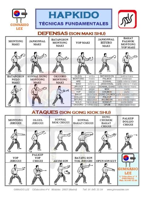 5+ How Many Techniques Does Hapkido Have | Hutomo