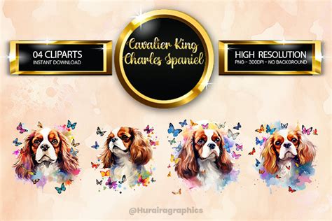 Cavalier King Charles Spaniel Clipart Graphic by Hurairagraphics ...