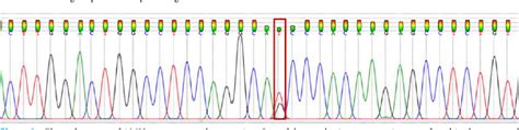 Figure From Sequencing Analysis Of Anti Mullerian Hormone In