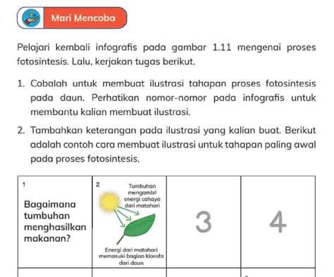 Kunci Jawaban Ipas Kelas Halaman Kurikulum Merdeka Tahapan