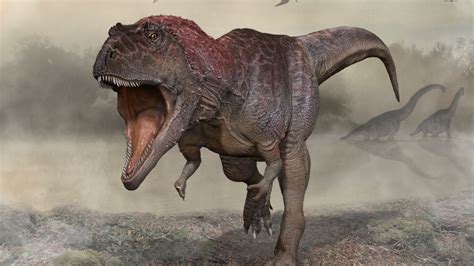 T Rex May Have Used Small Arms For Mating Discovery Of Meraxes Gigas