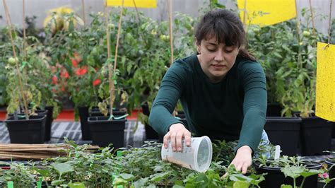 Horticultural Sciences Courses Johnson County Community College