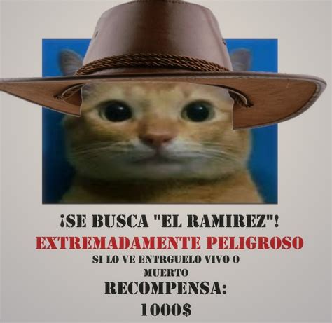 Top Memes De Ramírez En Español Memedroid