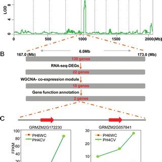 Identification Of N Remobilization Candidate Genes By Qtl Mapping And