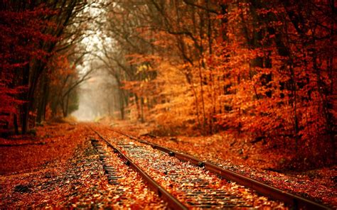 🔥 [40+] Fall Landscapes Wallpapers | WallpaperSafari