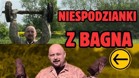 NIESPODZIANKI Z BAGNA Poszukiwania Wykrywaczem Na Bagnach YouTube