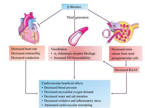 beta adrenergic blockers