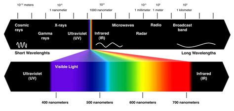 Indoor Grow Lights - What types of lights are used to grow plants? | Trees.com