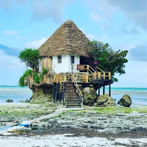 Zanzibar Jozani Forest Kuza Cave Blue Lagoon GetYourGuide