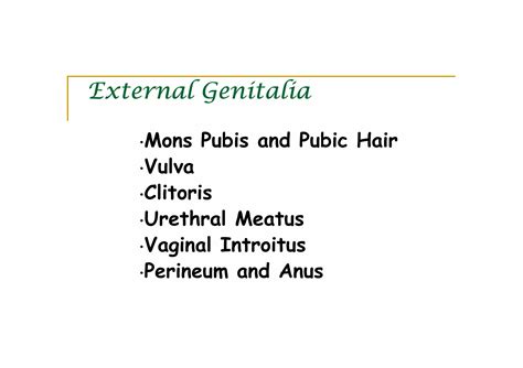 Assessment Of The Female Genitalia Ppt