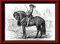 Friesian History | Friesian Horse Society