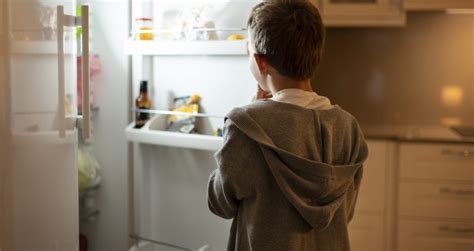 Conoce Las Mejores Marcas De Lavadoras Y Refrigeradoras Del