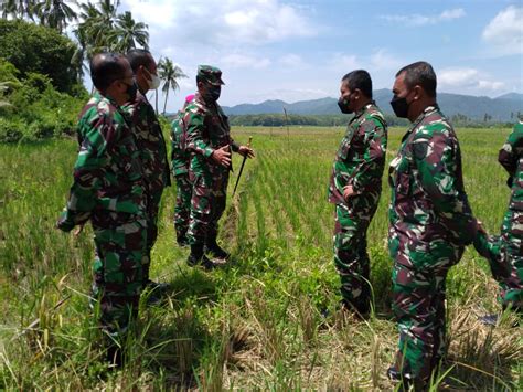 Wakasal Kunker Ke Lampung Tinjau Lokasi Ketahanan Pangan TNI AL