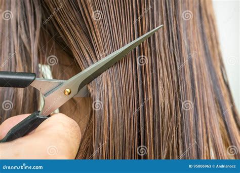 Cheveux Humides Droits Avec Le Peigne Et Les Ciseaux Concept De Soins