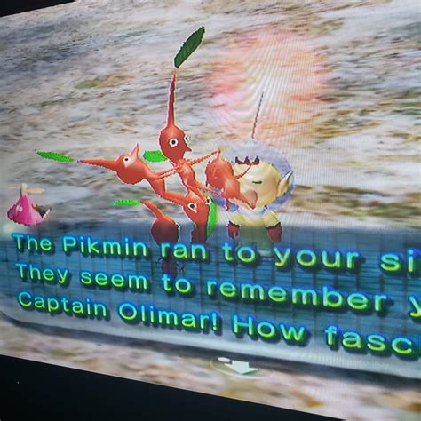 Fuck That Air R Pikmin