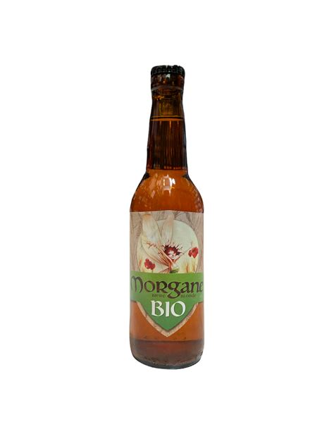 MORGANE BLONDE BIO 33CL 5 5 Boutique de Troyes Mille et une bières