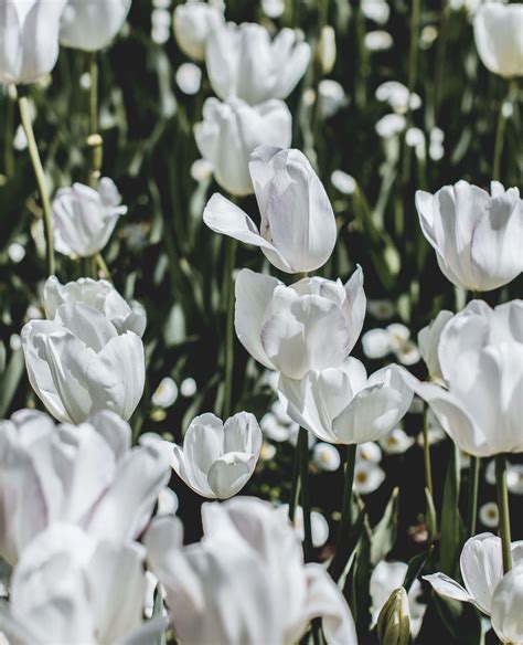 Modern memorial updates coming to wiseman's funeral home marystown newfoundland 3