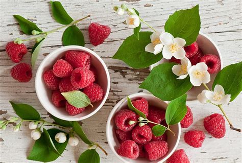 Raspberries And Jasmin Fresh Fruits Flower Flowers Nature HD