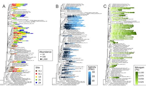 Phylogenetic Trees Of Indicator Otus Identified By Random Forests