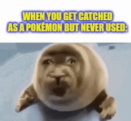 Pokémon - Imgflip