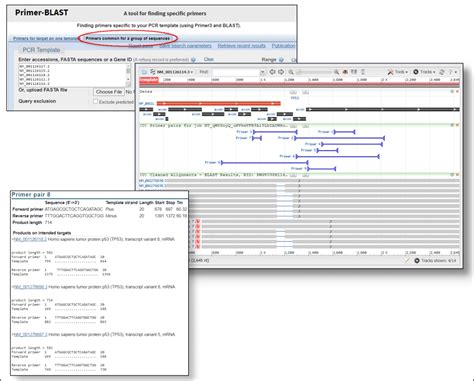 Primer-BLAST now designs primers for a group of related sequences ...