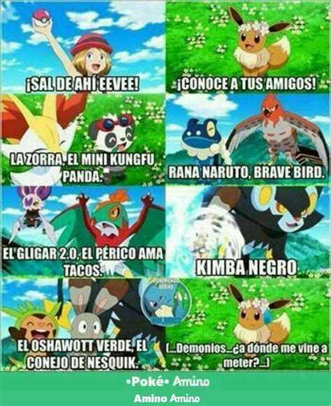 Memes Pokémon En Español Amino