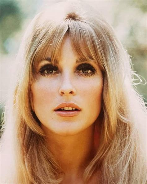 Sharon Photographed By Orlando Suero 1966 Sharontate Sixties Beauty