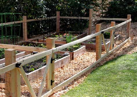 simple garden fence tillys nest