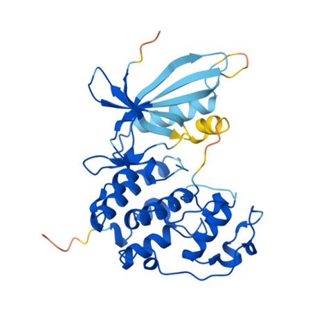 RCSB PDB AF AFP11802F1 Computed Structure Model Of Cyclin Dependent