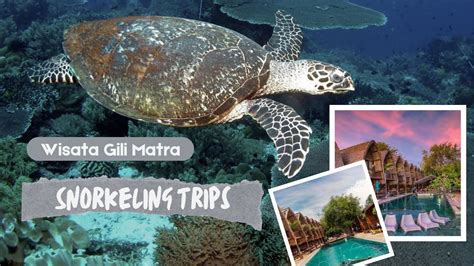 Snorkeling Trips Wisata Perairan Gili Matra Gili Trawangan Gili Meno