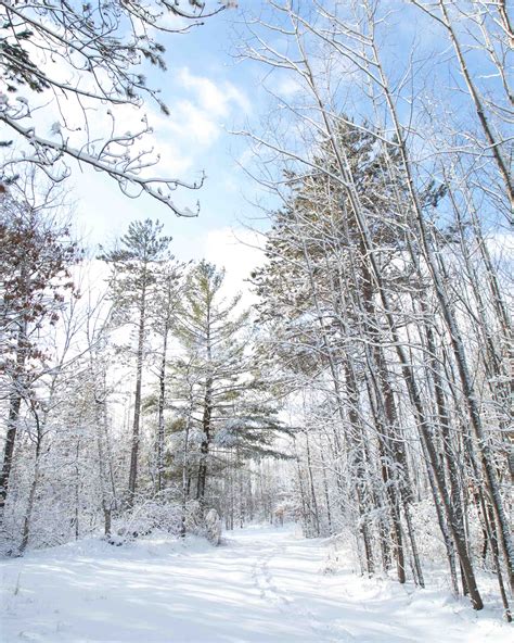 10 Must-Visit Places in Wausau, Wisconsin