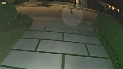 Terrifying Miami Abduction Attempt Caught On Ring Doorbell Camera Fox