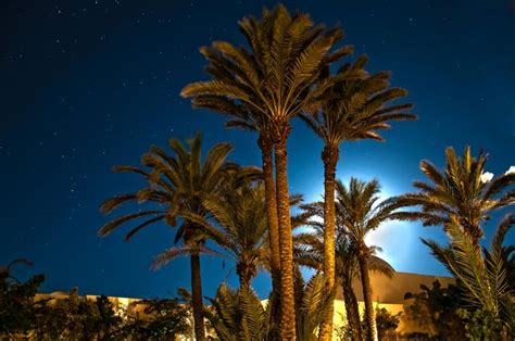 Djerba Night By Paolo Zambra 500px Tunisia Outdoor Sunset