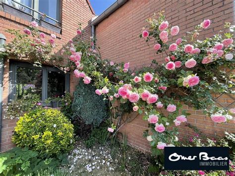 Maison Vendre A Marcq En Baroeul