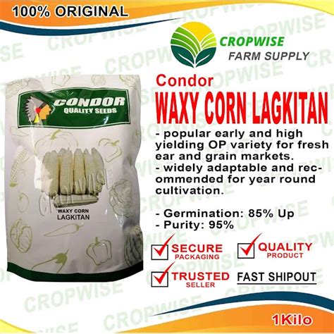 Condor Waxy Corn Seeds Lagkitan Kg Shopee Philippines