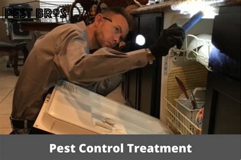 What To Expect After Pest Control Treatment