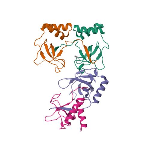 RCSB PDB 2D7H Crystal Structure Of The Ccc Complex Of The N Terminal