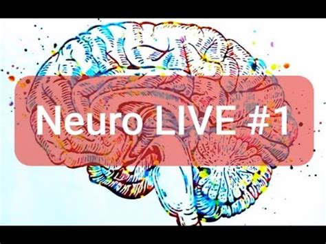 NeuroLive 1 HABLEMOS DEL CEREBRO NEUROANATOMÍA Y FISIOLOGÍA YouTube