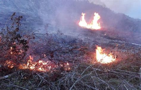 Alerta Naranja En El Tolima Para Enfrentar La Temporada De Incendios