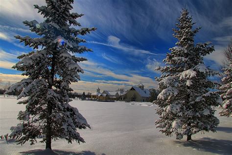 Fondos De Pantalla Invierno Nieve Cielo Rbol Naturaleza Planta