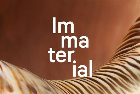 introducing immaterial  metropolitan museum  art