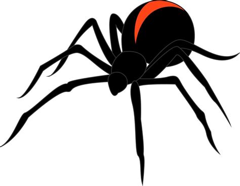 Black Spider Illustration Vector On White Background Vector