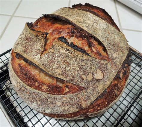 White Flour Warm Spot Levain From Fwsy The Fresh Loaf