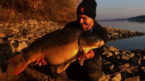 Wild Carp Fishing In River 20kg Over Sportex Team Hungary Youtube