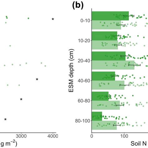 Soil C Stocks A And N Stocks B At Different Depths In The 8 Old